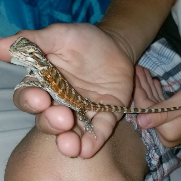 Meet your Posher, Tonya - Picture 1 of 1